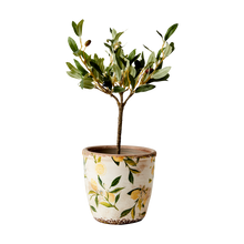 Charger l'image dans la galerie, LEMONA Pot S, Blanc/vert/jaune