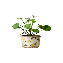 Charger l'image dans la galerie, LEMONA Cache-pot motif citron jaune - Forme ronde évasée