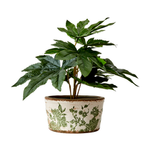 Charger l'image dans la galerie, VICTORIA Pot S, Blanc/vert
