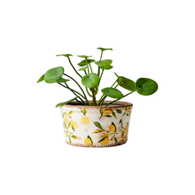 Charger l'image dans la galerie, LEMONA Pot M, Blanc/vert/jaune