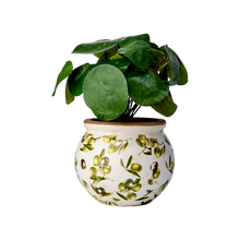 Charger l'image dans la galerie, Cache-pot motif olives – Forme ronde