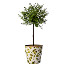 Charger l'image dans la galerie, Cache-pot motif olives – Forme évasée