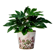 Charger l'image dans la galerie, Cache-pot SPRING – Ø 10 / 14 × H 13 cm