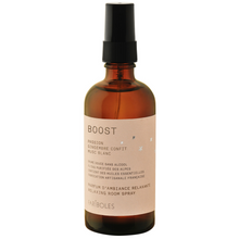 Charger l'image dans la galerie, PARFUM D'INTERIEUR FARIBOLES BOOST