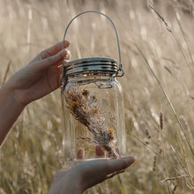 Charger l'image dans la galerie, Sonnenglas Classic 1L - lanterne solaire