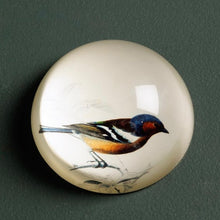 Charger l'image dans la galerie, SULFURE Presse papier birdy