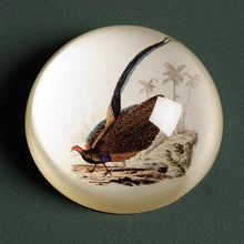 Charger l'image dans la galerie, SULFURE Presse papier migrateur