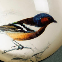 Charger l'image dans la galerie, SULFURE Presse papier birdy