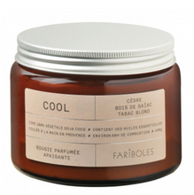 Charger l'image dans la galerie, BOUGIE FARIBOLES COOL