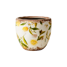 Charger l'image dans la galerie, LEMONA Cache-pot XS – Forme ronde
