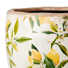 Charger l'image dans la galerie, LEMONA Cache-pot motif citron jaune - Forme ronde oblongue
