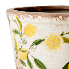 Charger l'image dans la galerie, LEMONA Cache-pot motif citron jaune - Forme ronde évasée
