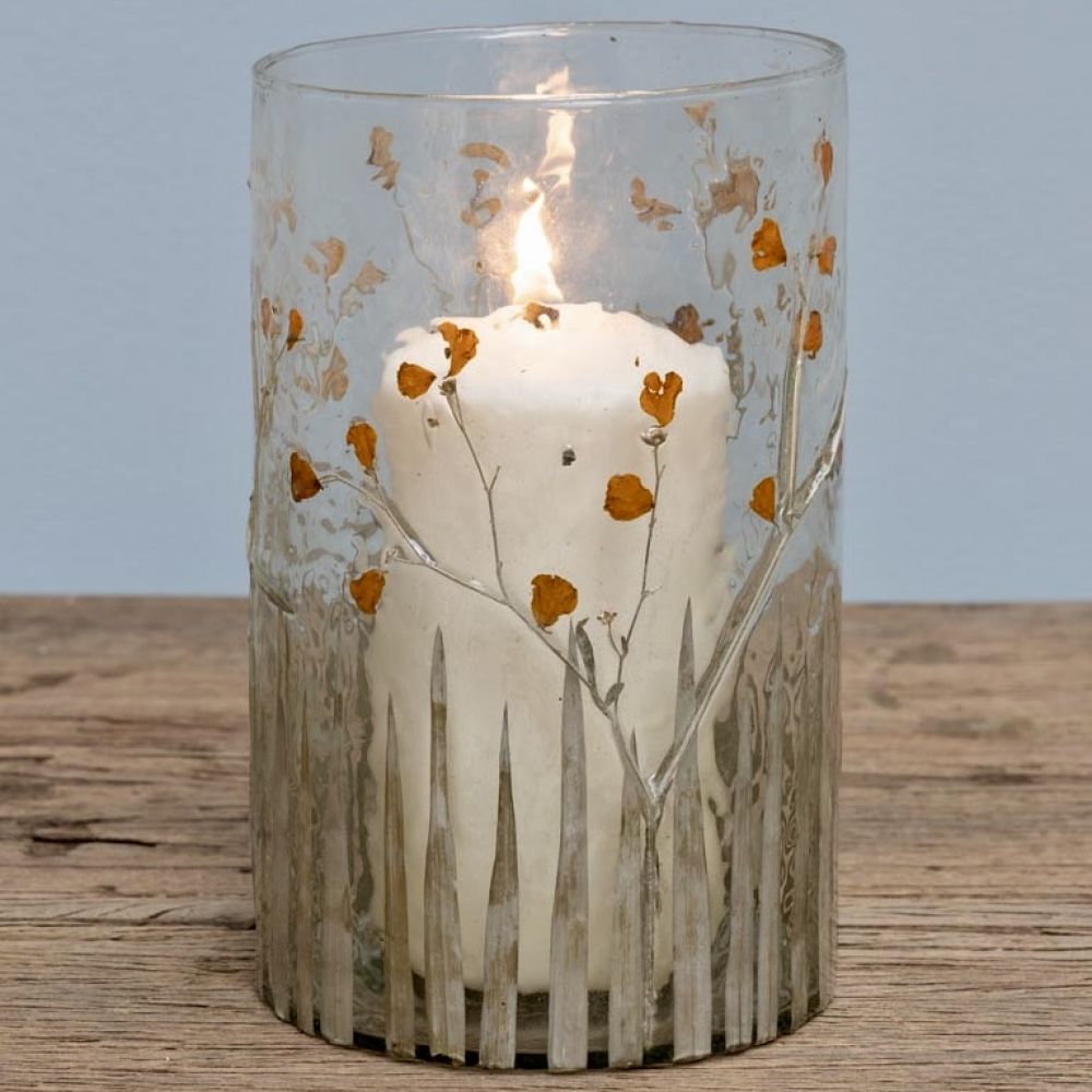 Grand photophore Herbarium