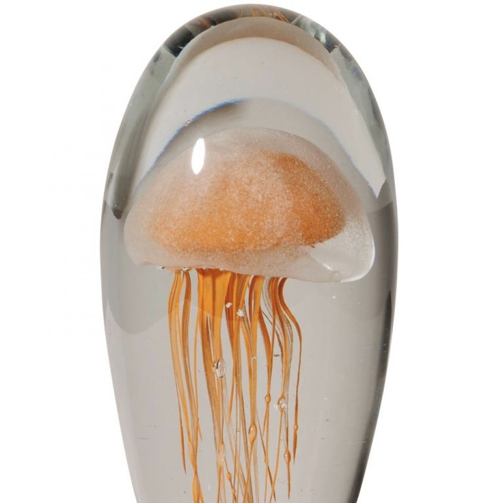 Sulfure méduse orange