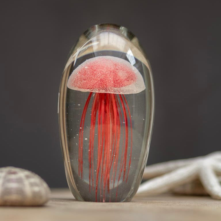Sulfure méduse rouge